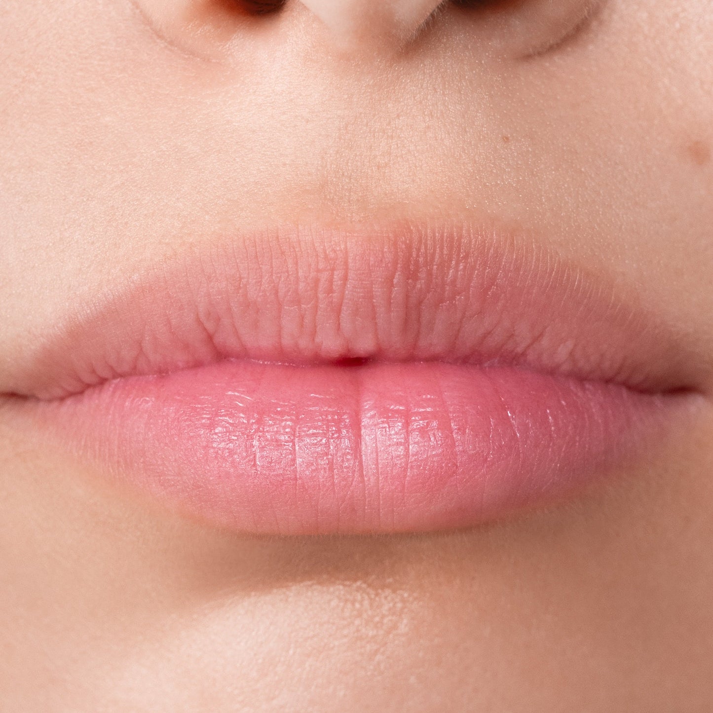 AN-GLOSS Ceramide Lip Trio